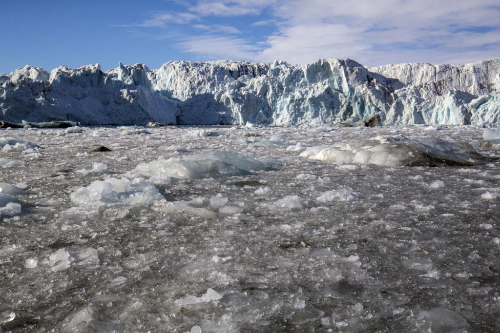 Saint Johns Glacier - Photo By Kip Evans - Mission Blue