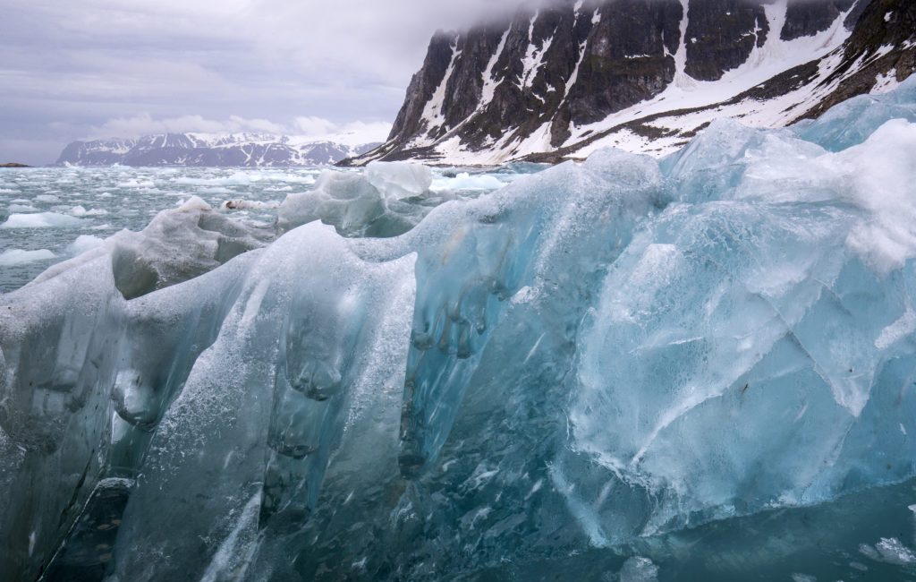 Spitsbergen Island: Mission Blue’s Newest Arctic Hope Spot