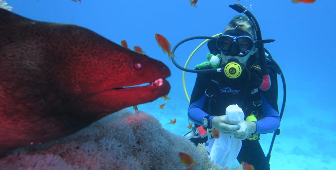 Introducing New PADI AmbassaDiver, Luca Hales