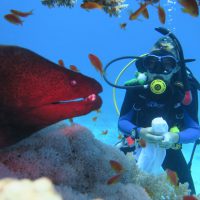 PADI AmbassaDiver Luca Hales