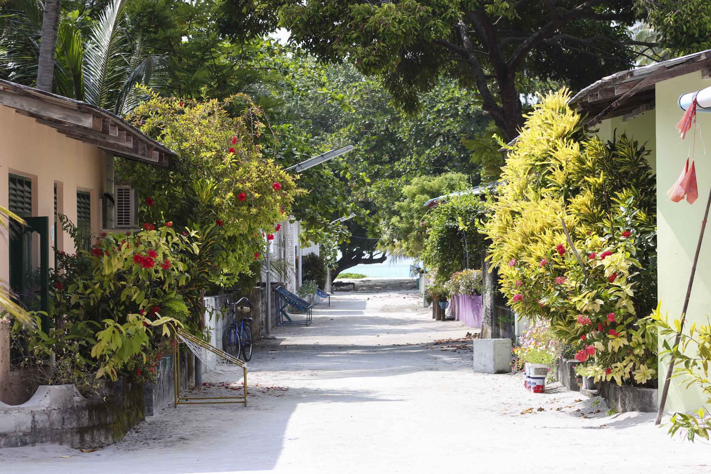 Maldives atoll island street