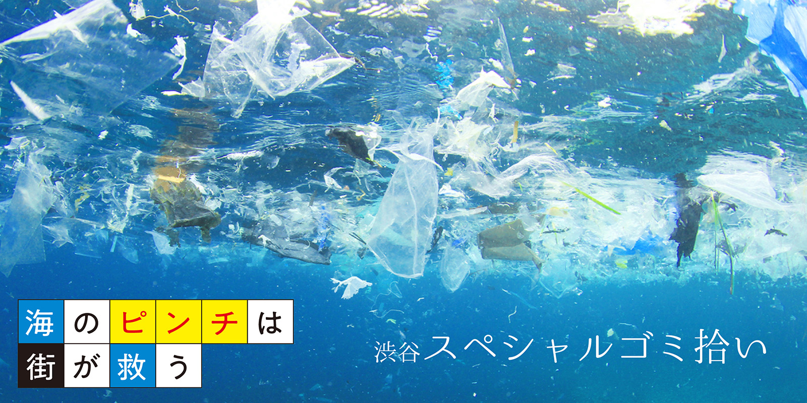 海のゴミの8割は陸からやってくる！渋谷ゴミ拾いイベントにご参加ください！