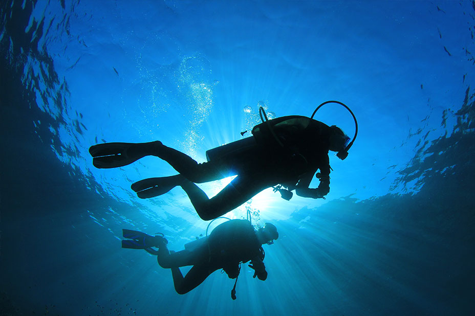 ActionQuest divers from below