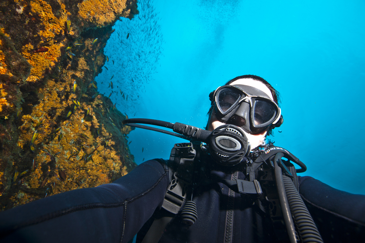 The underwater photography exhibition organiser