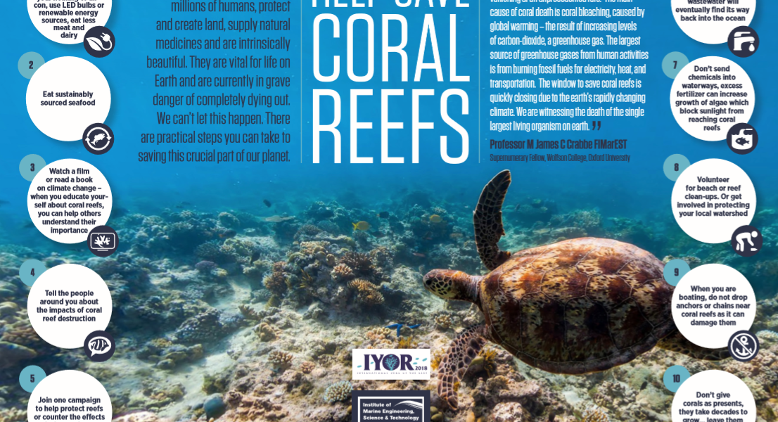 2018 Is The International Year Of The Reef – Why Not Get Involved?