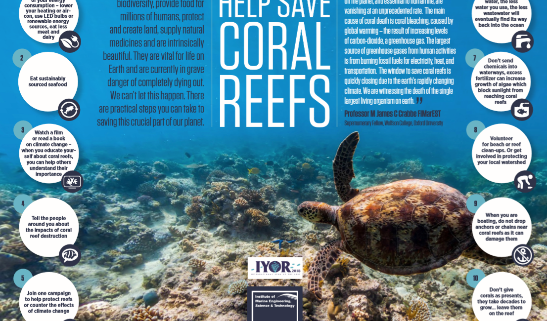 2018 Is The International Year Of The Reef – Why Not Get Involved?