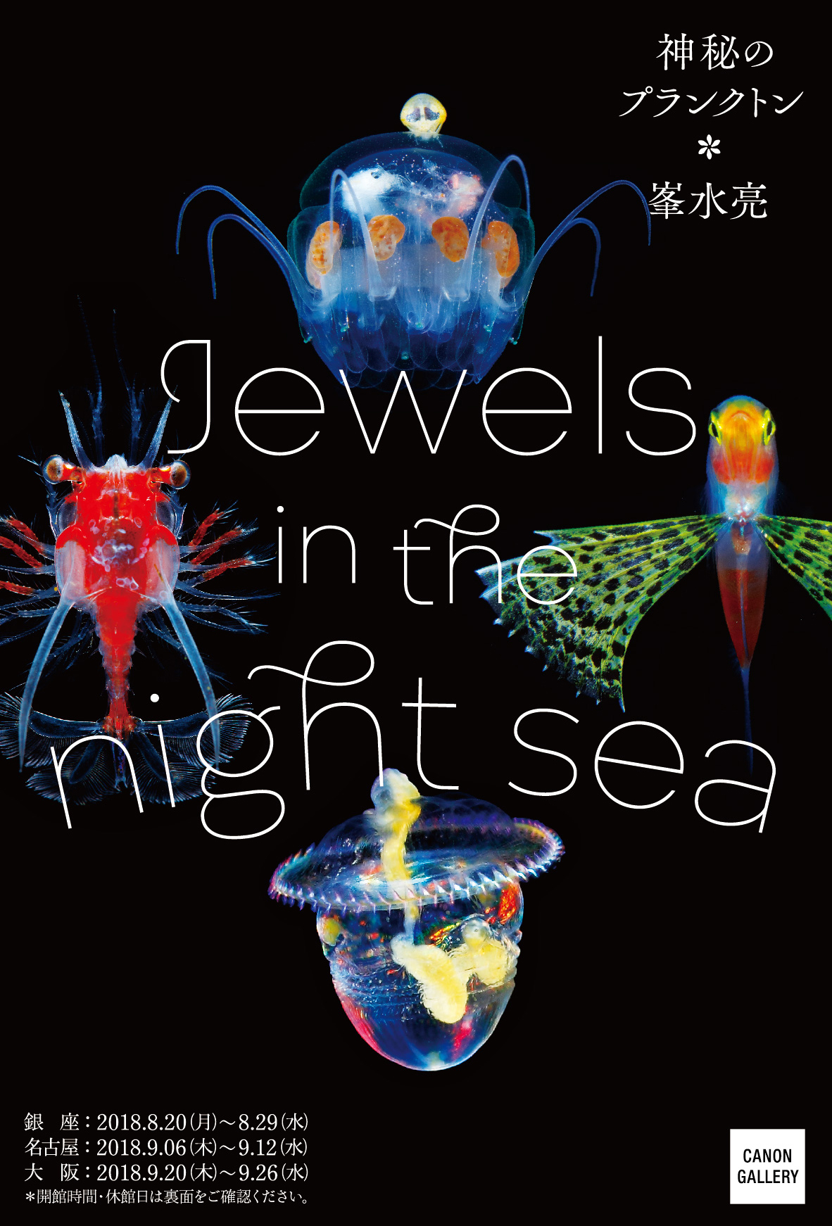 水中写真家・峯水亮さんの写真展「Jewels in the night sea 神秘のプランクトン」が東京、名古屋、大阪で開催！