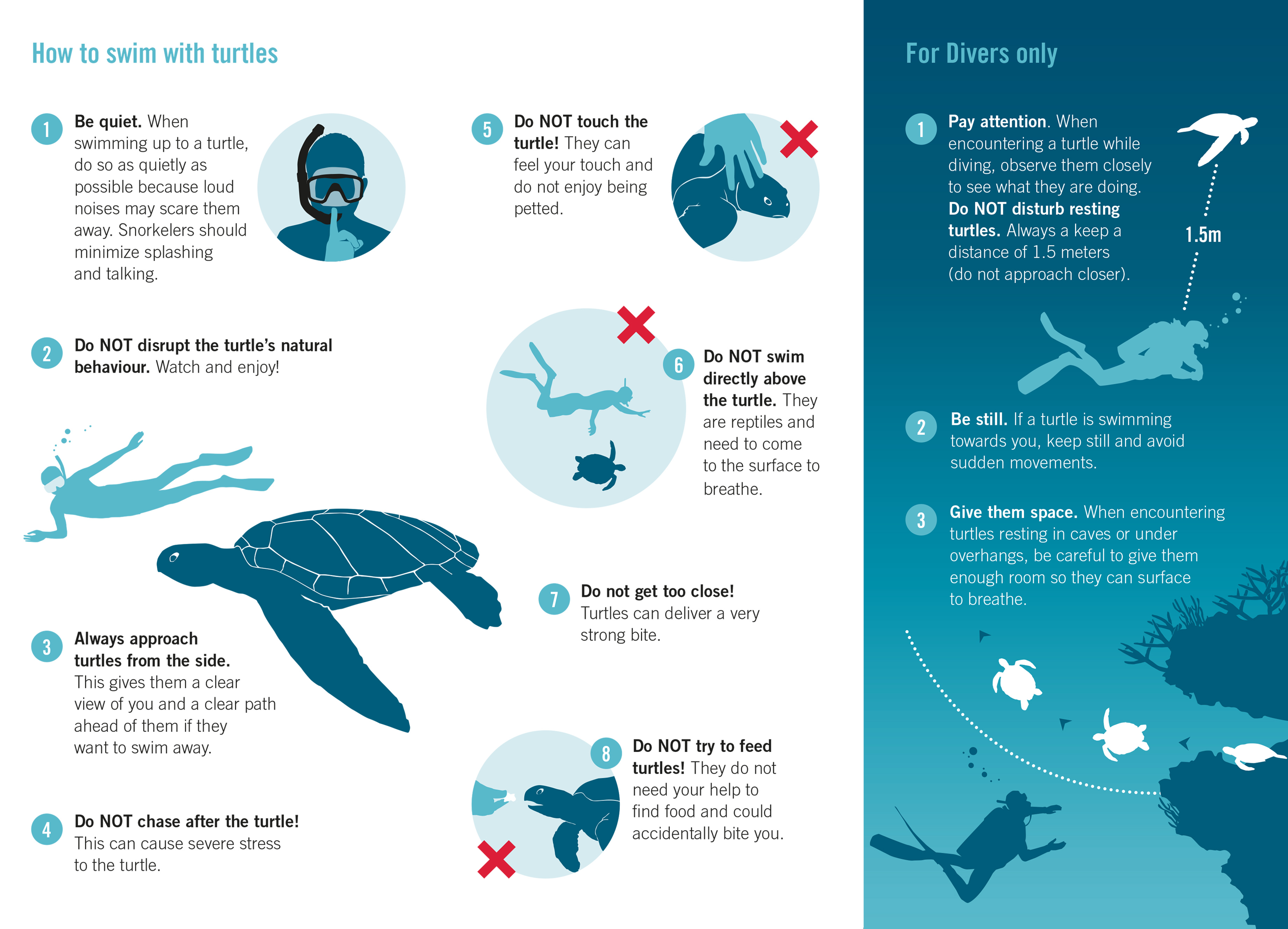 ORP Turtles Code of Conduct