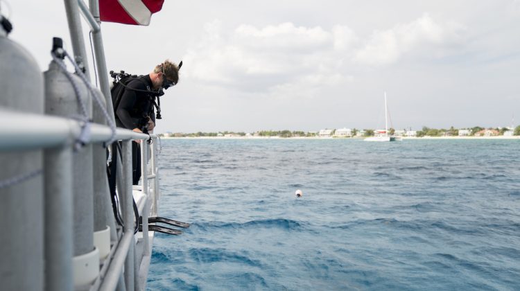 the bends decompression sickness while scuba diving