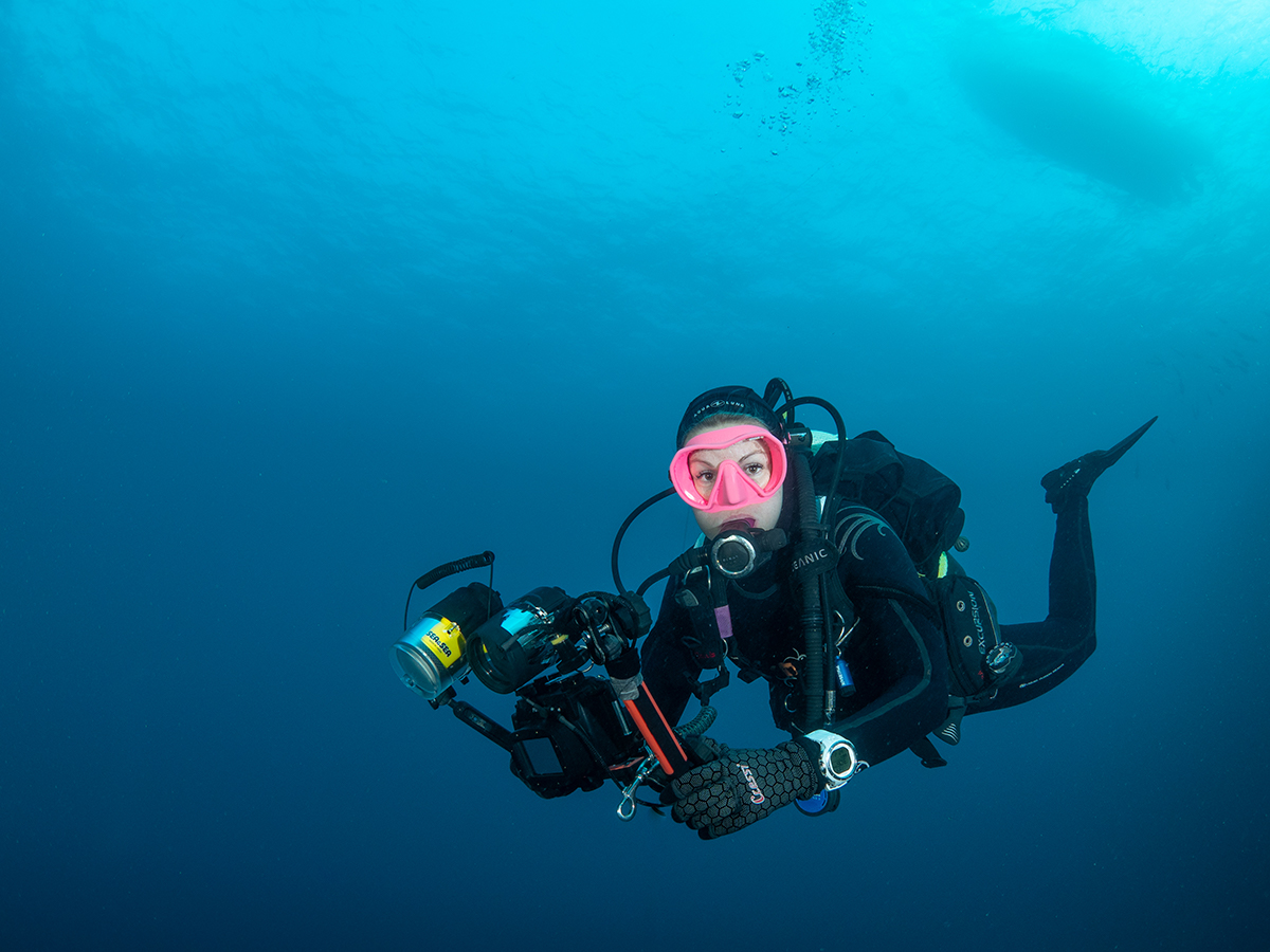 Équipement de Photographie et de Vidéographie Sous-Marine