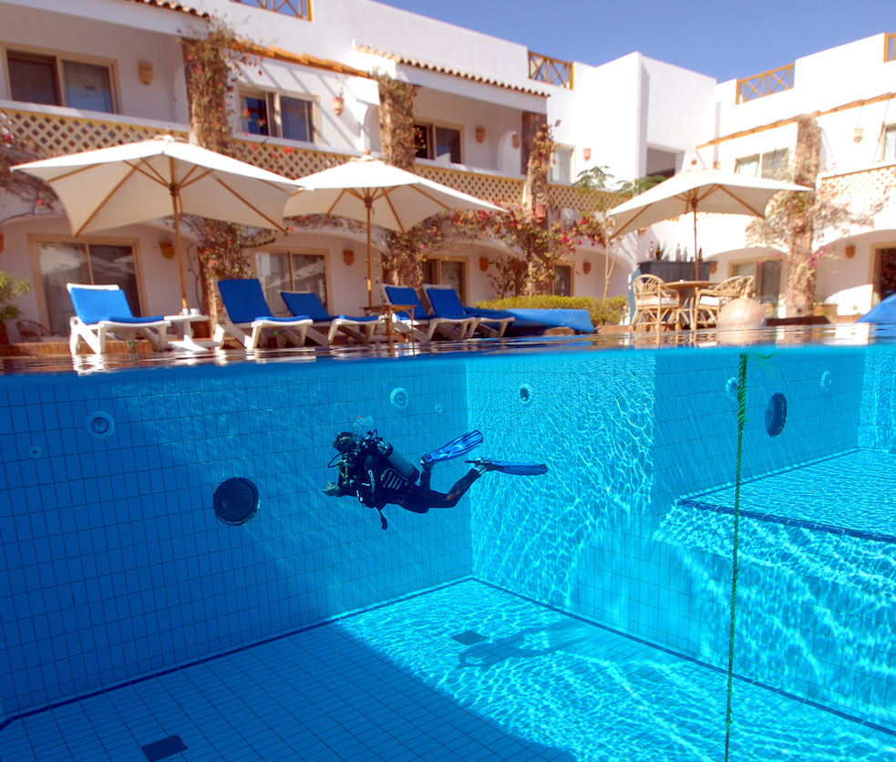a diver a pool at camel resort