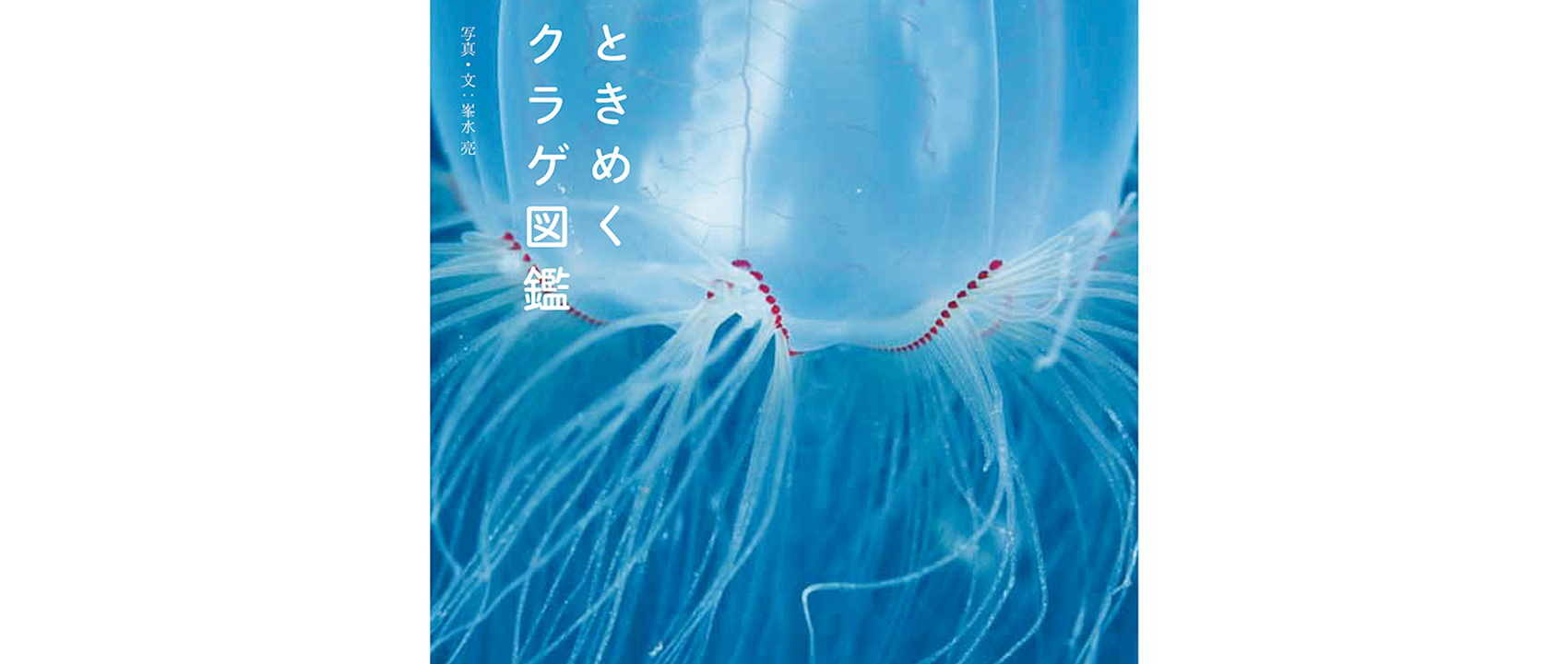 水中写真家 峯水亮さんの新刊 ときめくクラゲ図鑑 が発売
