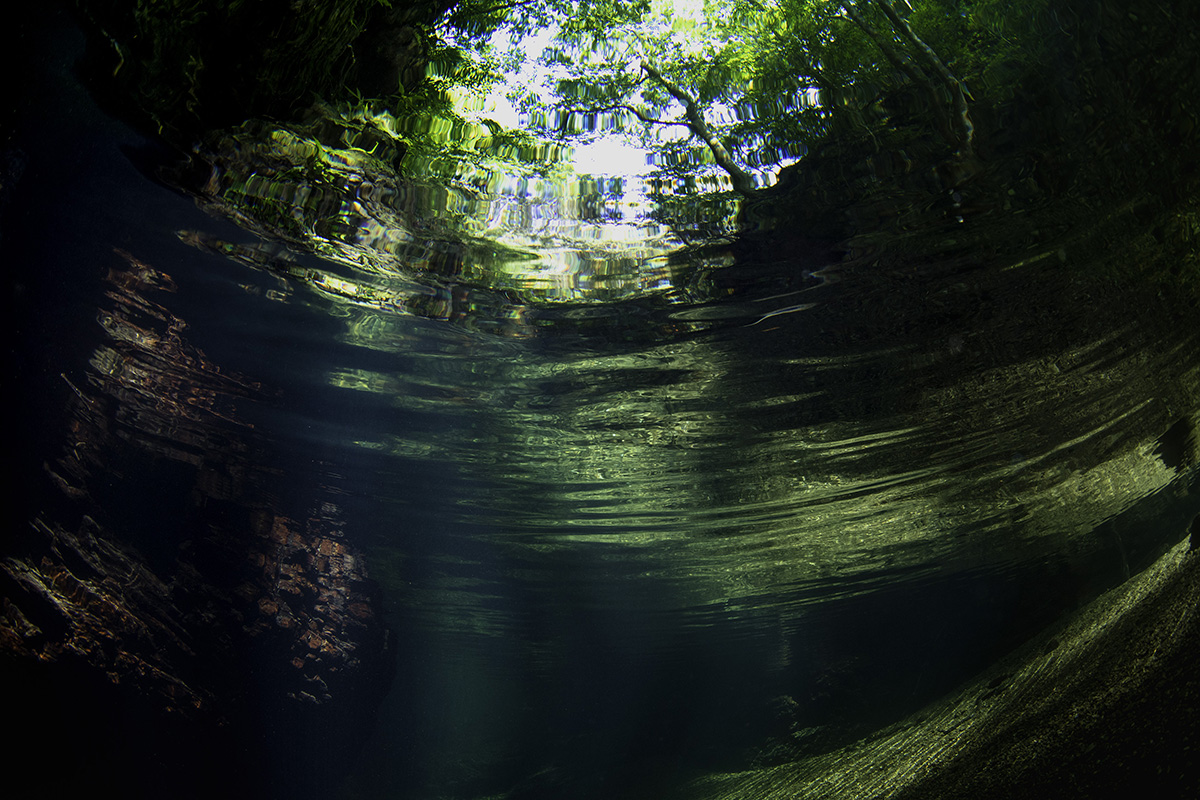 水中写真家・中村卓哉氏の写真集『辺野古－海と森がつなぐ命－』が出版＆写真展も開催！
