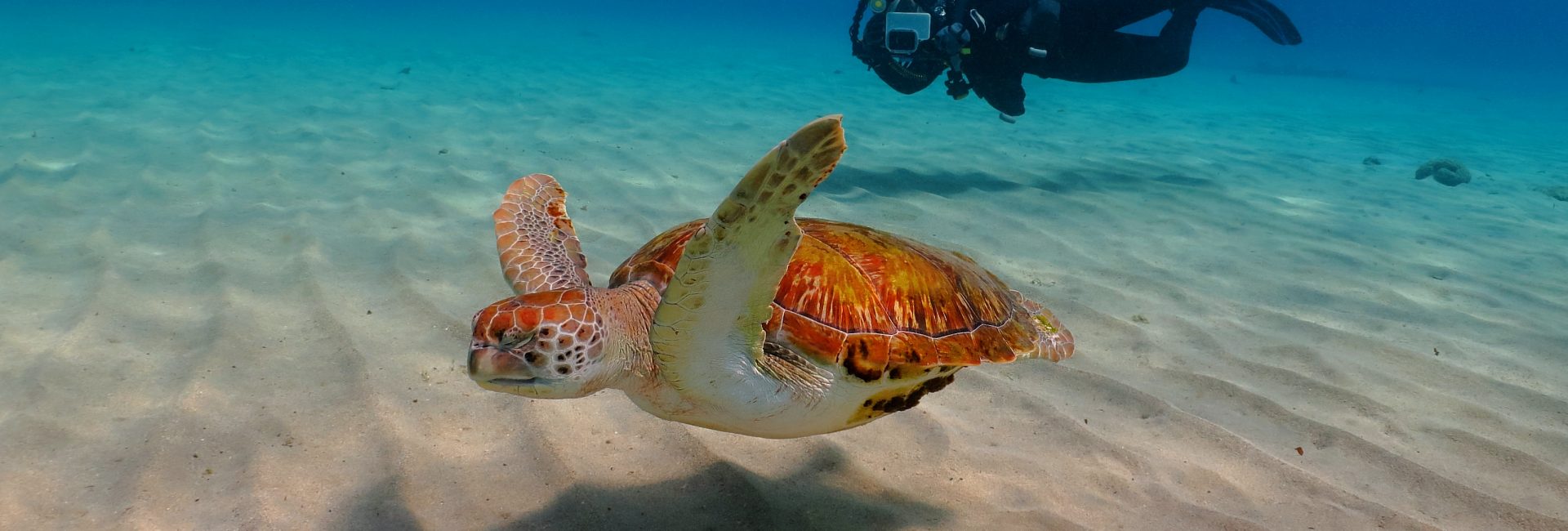 4 Must-Dive Areas in Colombia