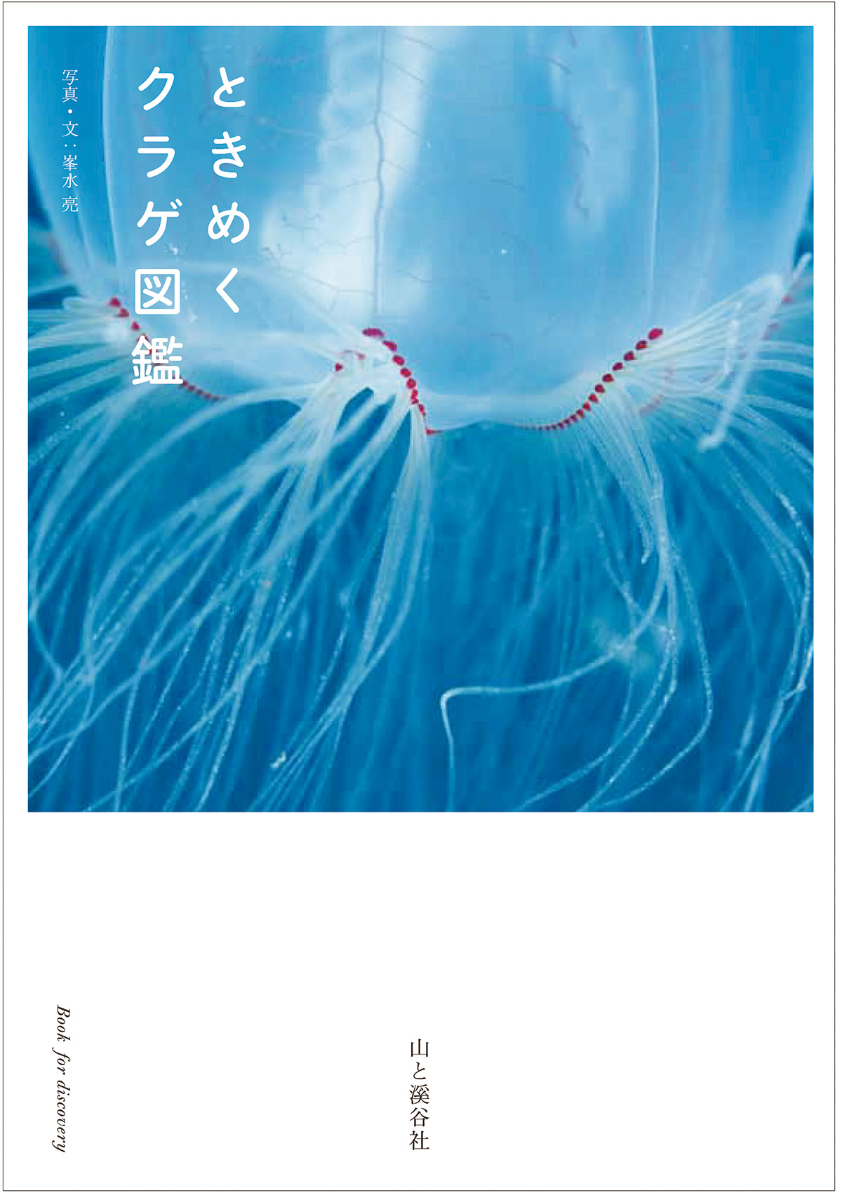 水中写真家・峯水亮さんの新刊「ときめくクラゲ図鑑」が発売！