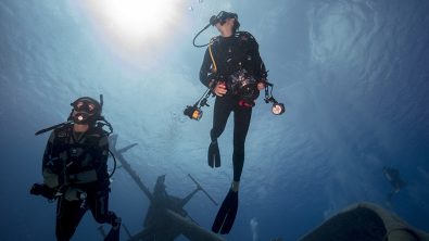 what to do before your next scuba course