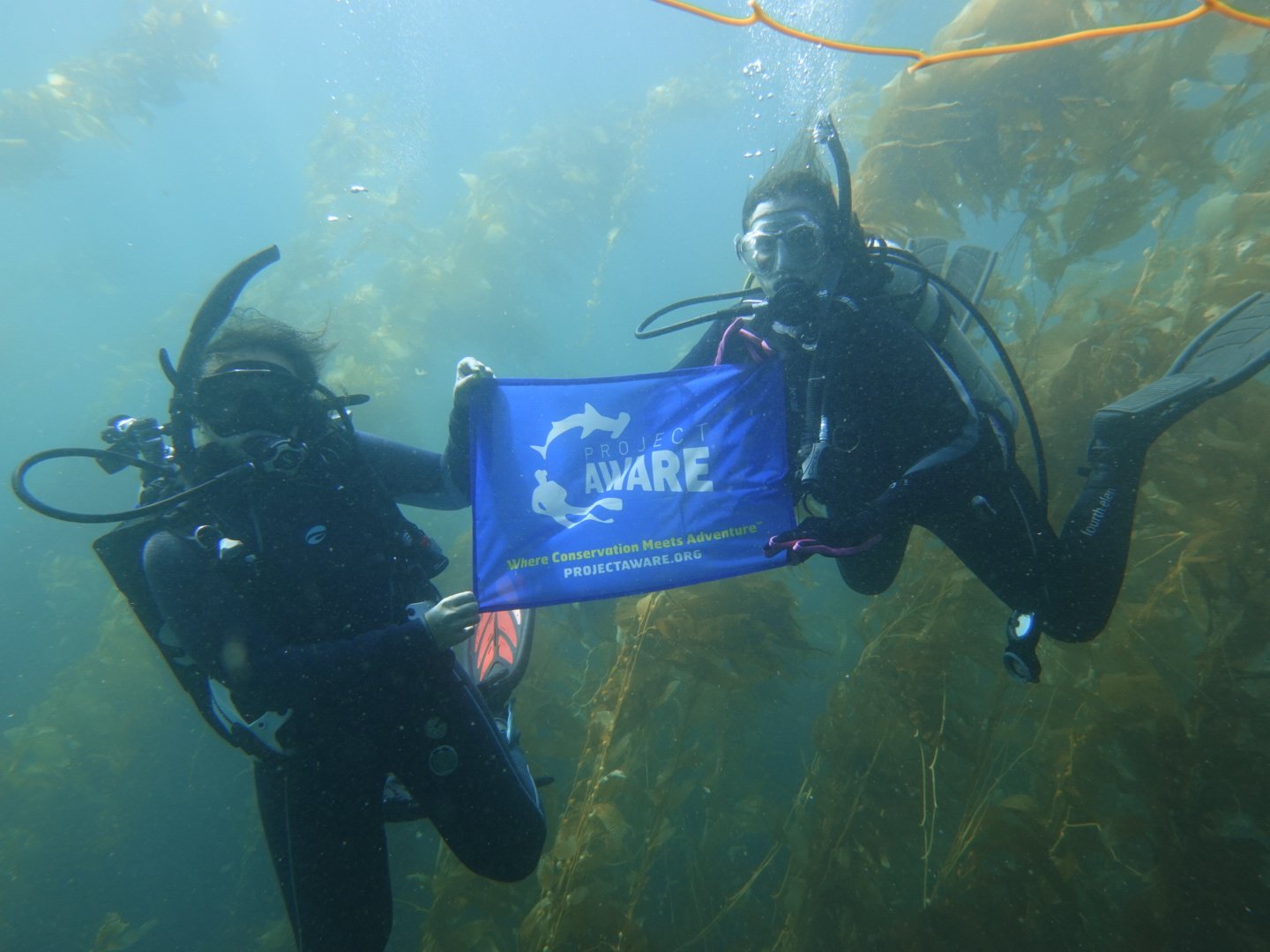 project aware dive against debris specialty 