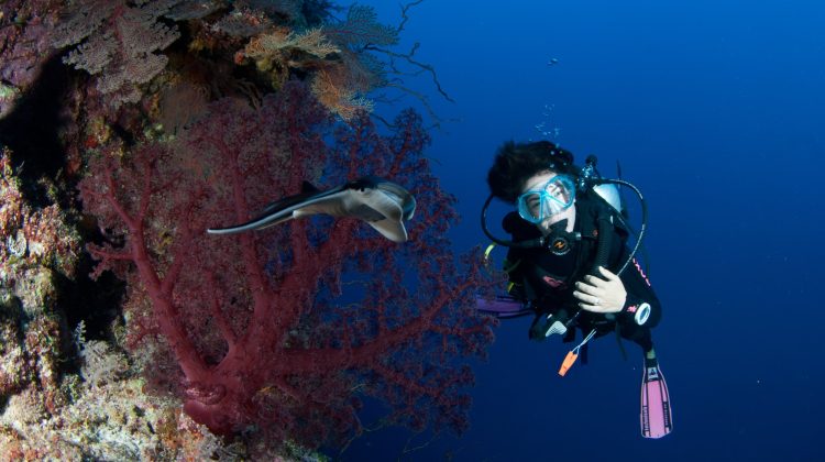 Mariasole PADI Divemaster