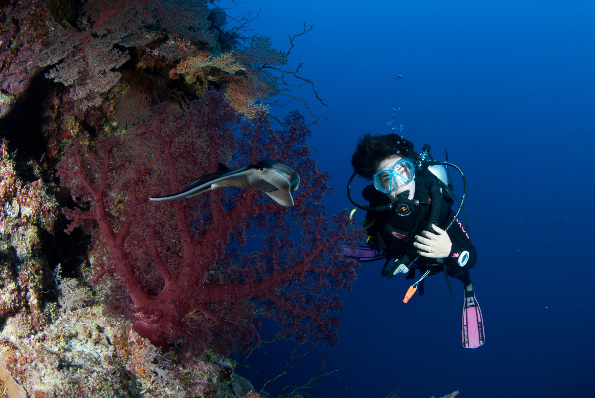 Mariasole PADI Divemaster