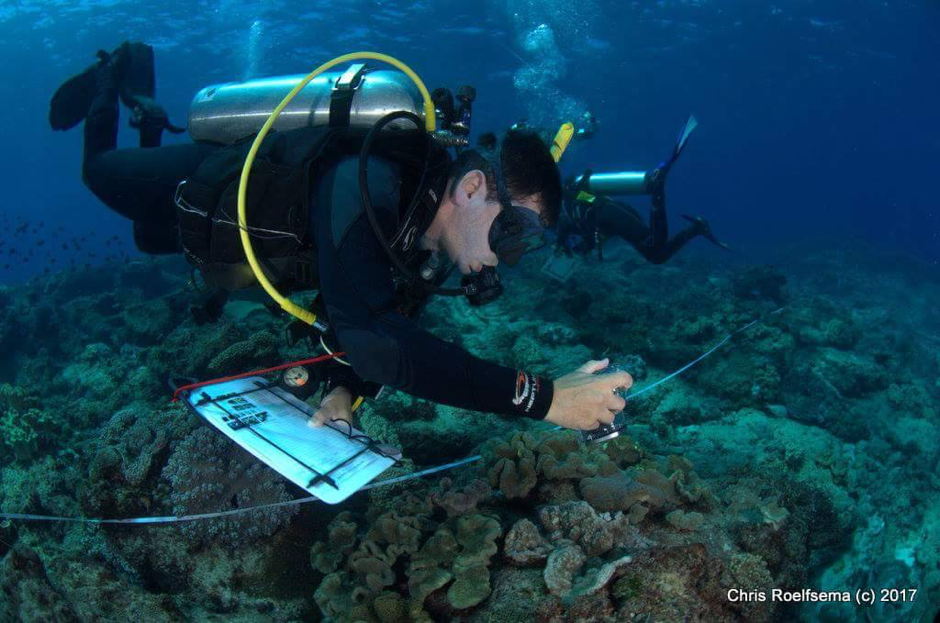 Moreton Bay Hope Spot Citizen Science - Photo By Chris Roelfsema