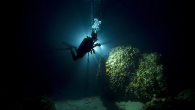 PADI Digital Underwater Photographer Specialty course