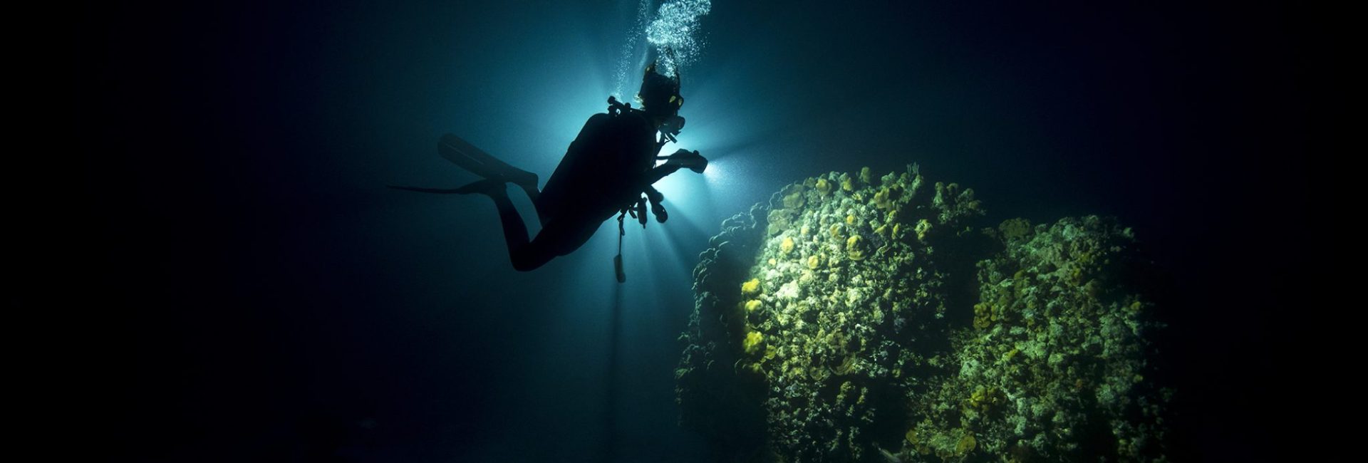 Quiz: Qual Curso de Especialização da PADI Você Deveria Fazer?