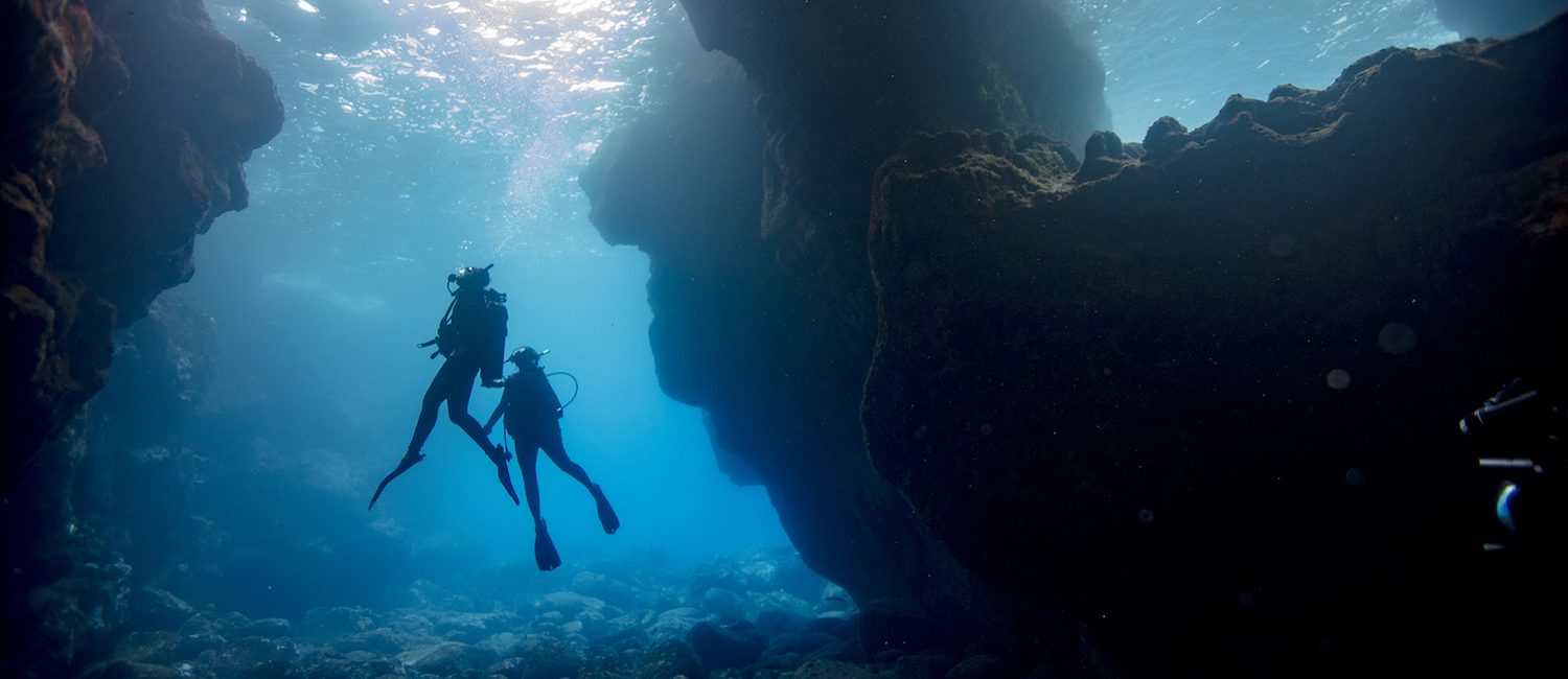 Apply for 2019 PADI Women’s Scholarships