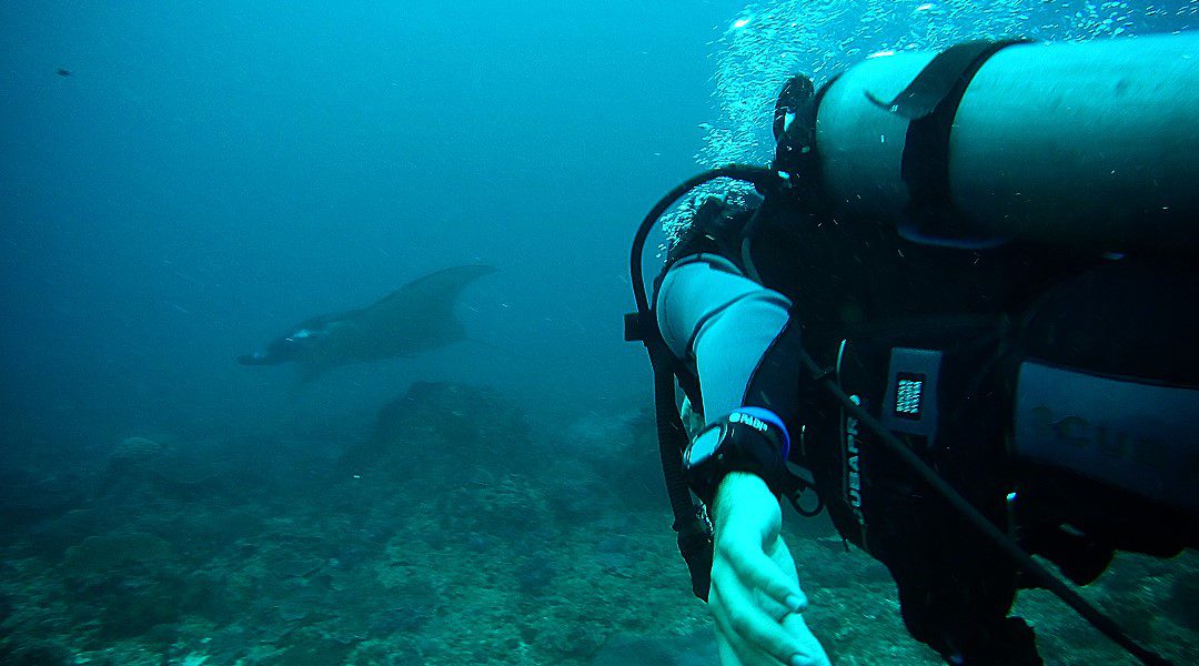 Представляем Хасана Хаяла, имеющего звание PADI AmbassaDiver