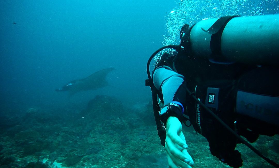 Présentation de Hassan Khayal, PADI AmbassaDiver