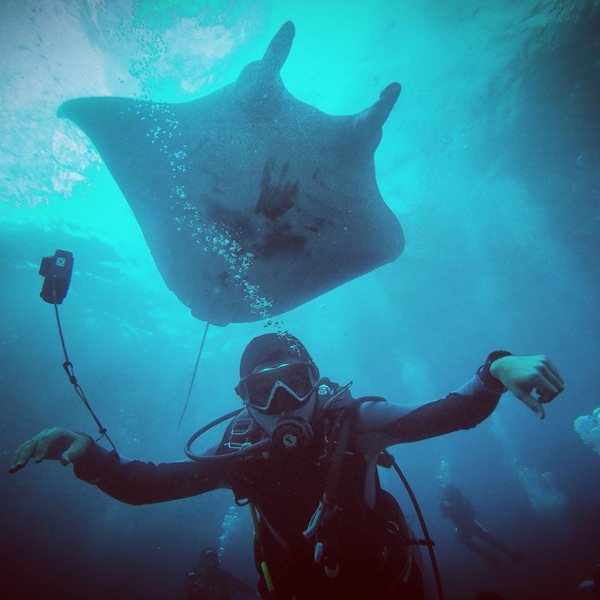 AmbassaDiver Hassan and a manta