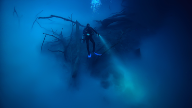 Spooky dive site, Cenote Angelita, in Mexico