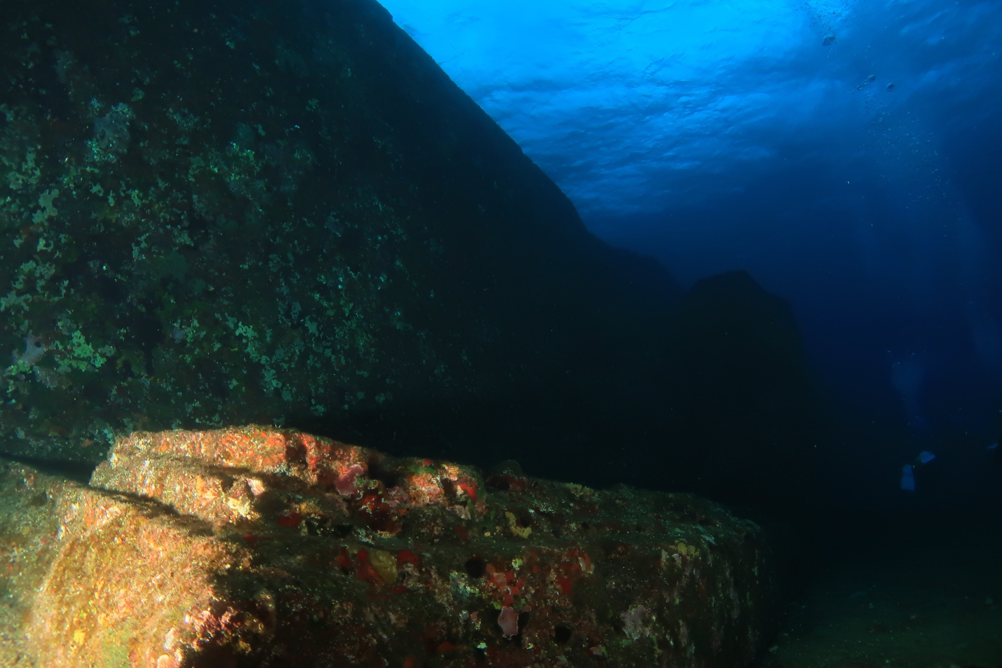 Scuba diver exploring alongside Yonaguni Monument