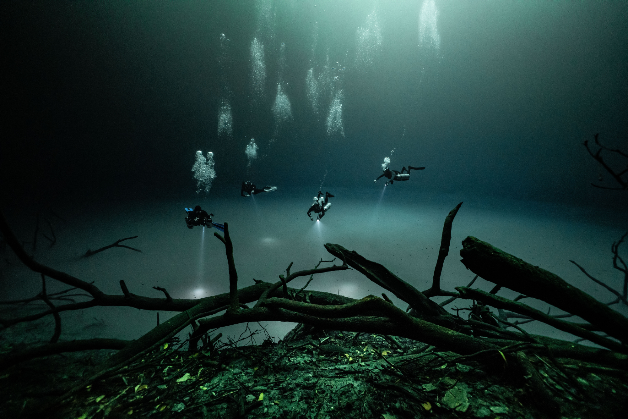 Scuba divers exploring the layer of hydrogen sulfide in Cenote Angelita