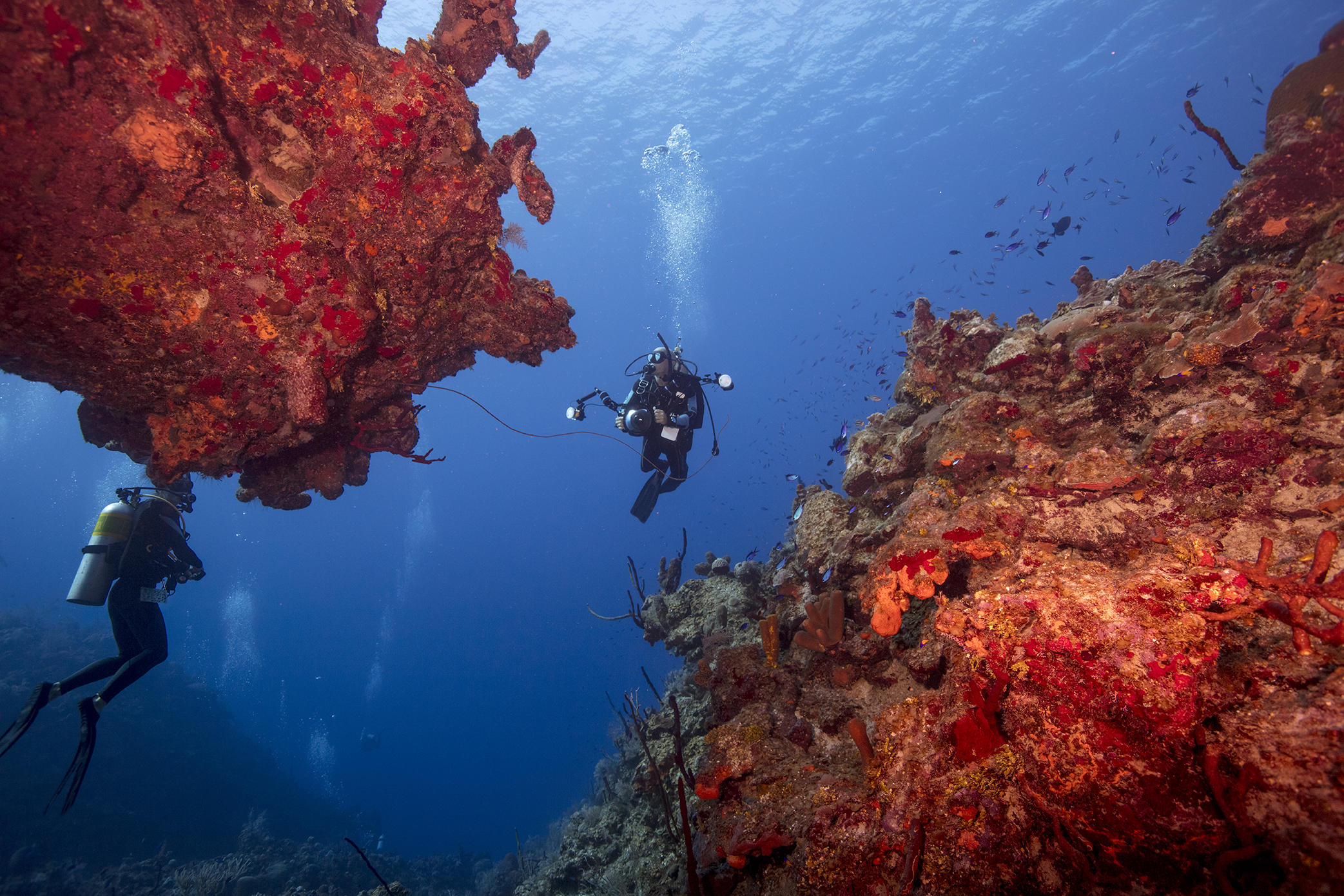 Dive Destination: Grand Cayman