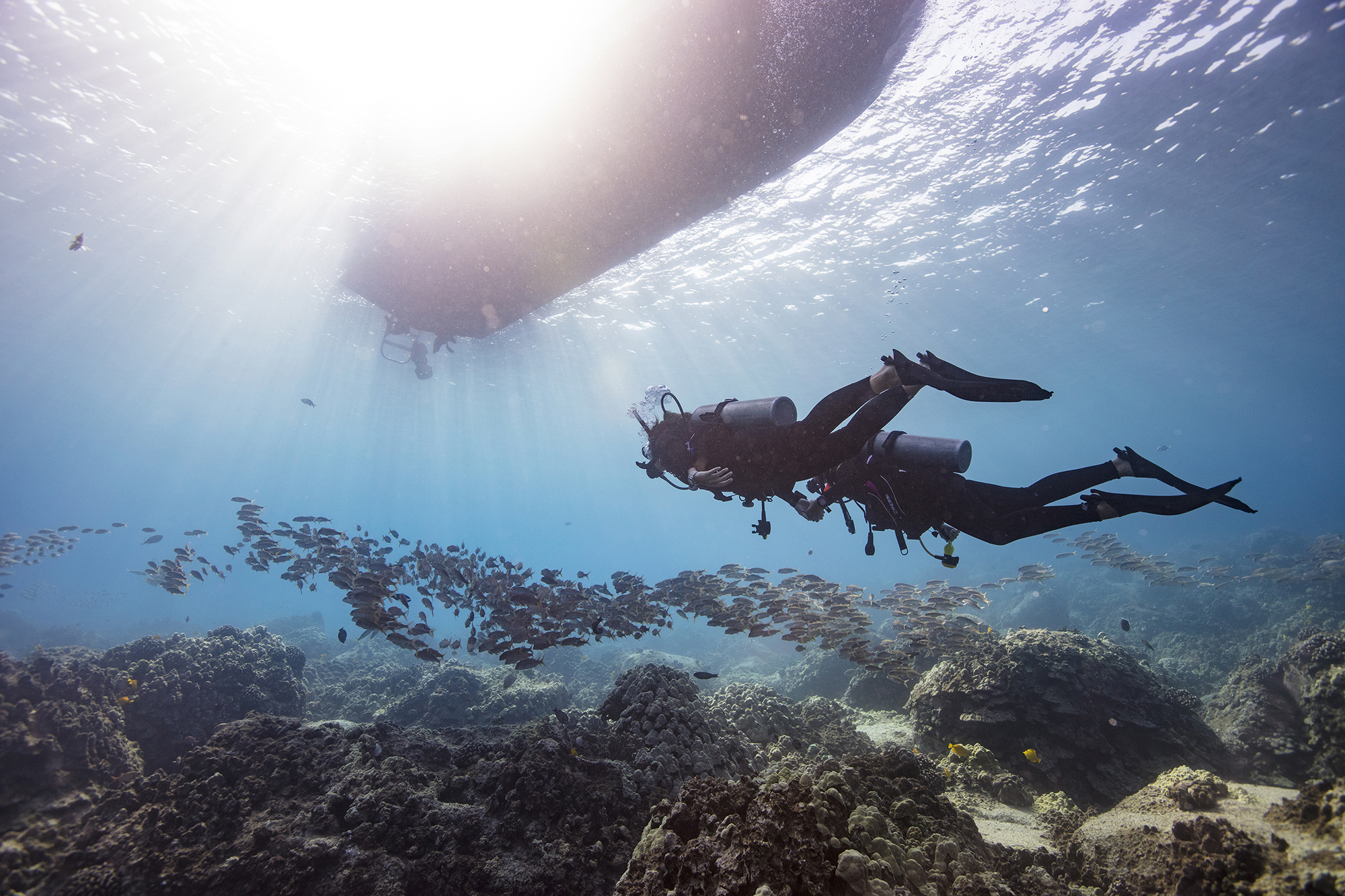 Freediving vs scuba diving - Awareness