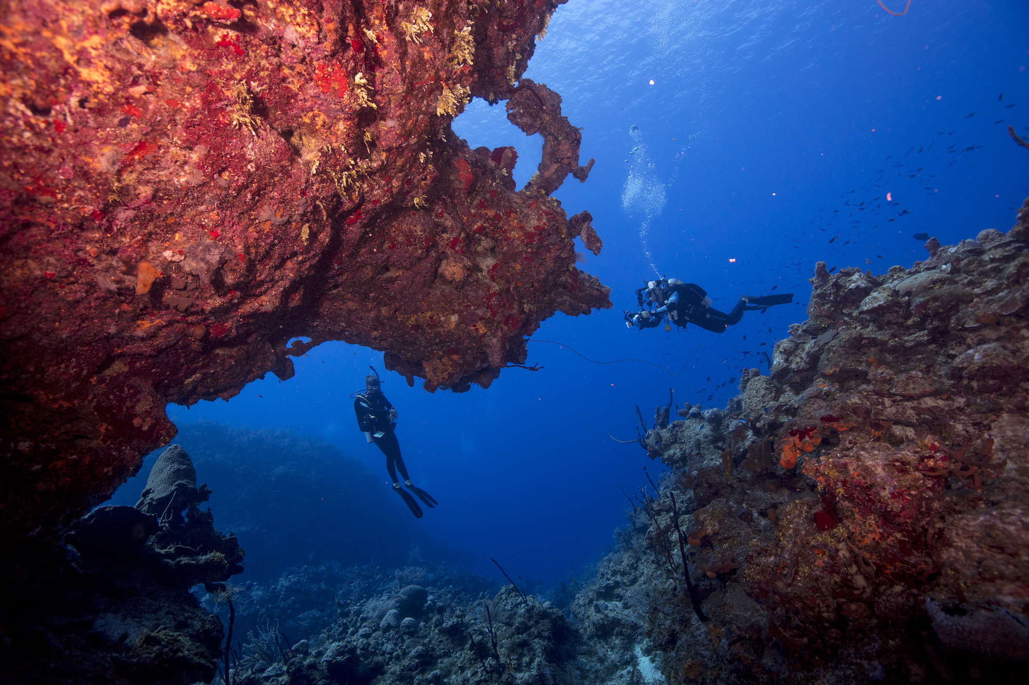 Two scuba divers diving Grand Cayman in January, where the fascinating underwater topography is lined with colorful corals
