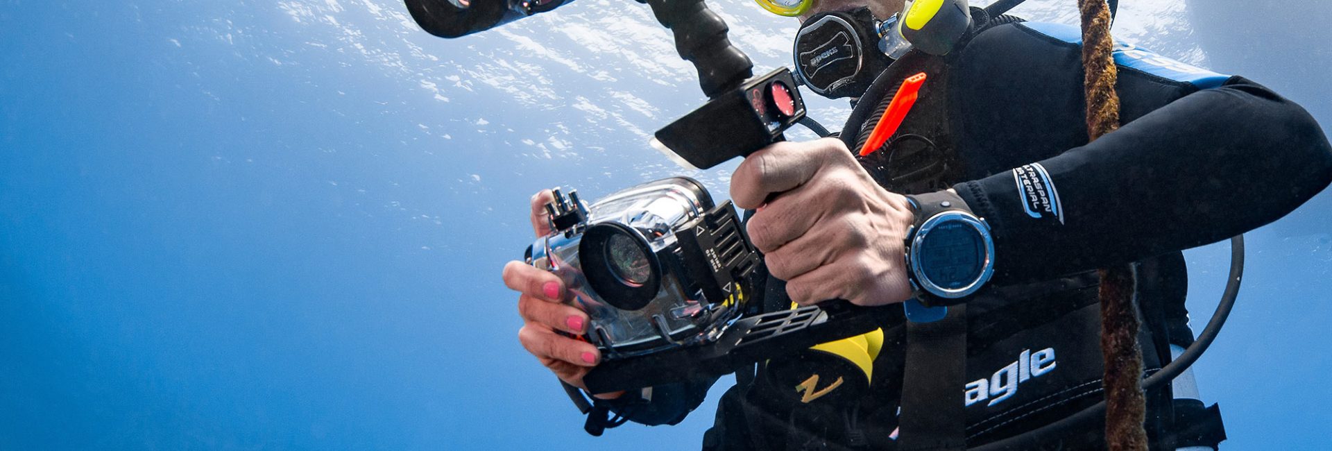 Best Cameras for New Underwater Photographers
