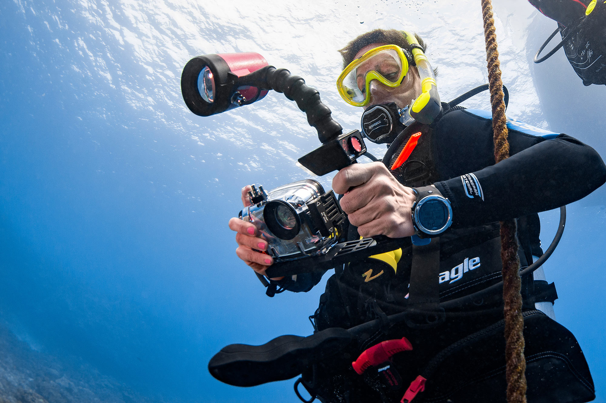 PADI Underwater Digital Photographer about to descend into the water with hammerhead sharks. Underwater photos capture the moment for a life-time.