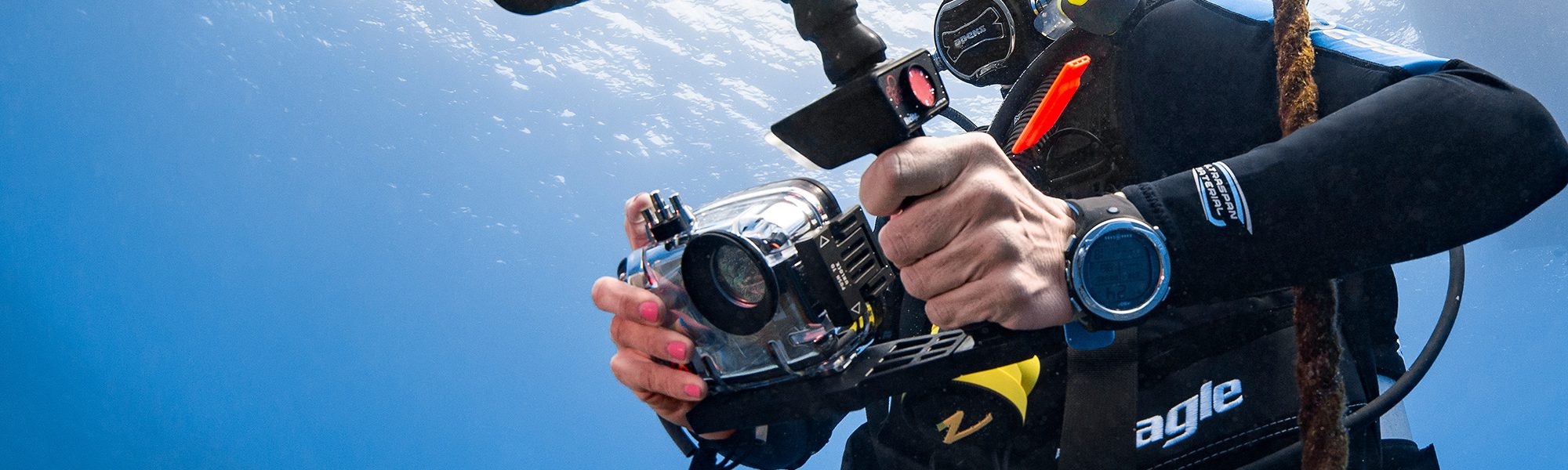 The Survival of the Compact Camera