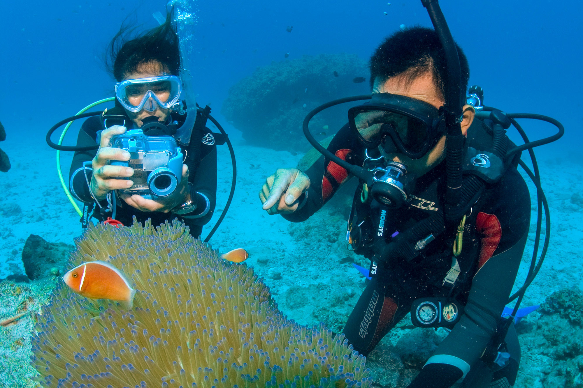 Fotografía subacuática- Fotografía- Hawaii