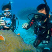 Underwater Photography- Photography- Hawaii