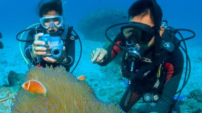Underwater Photography- Photography- Hawaii
