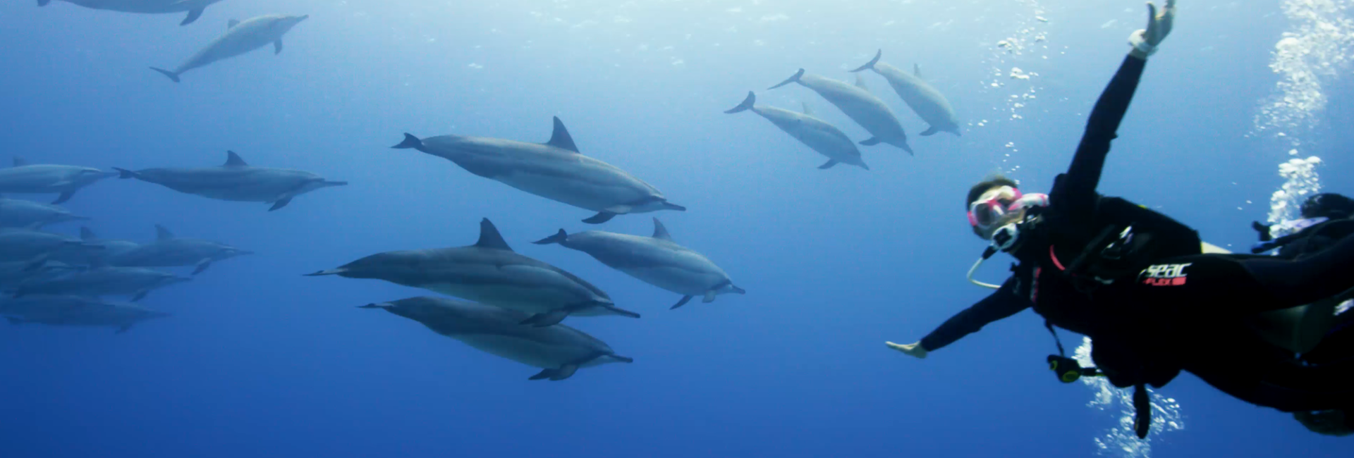 Scuba Diving in Hawaii