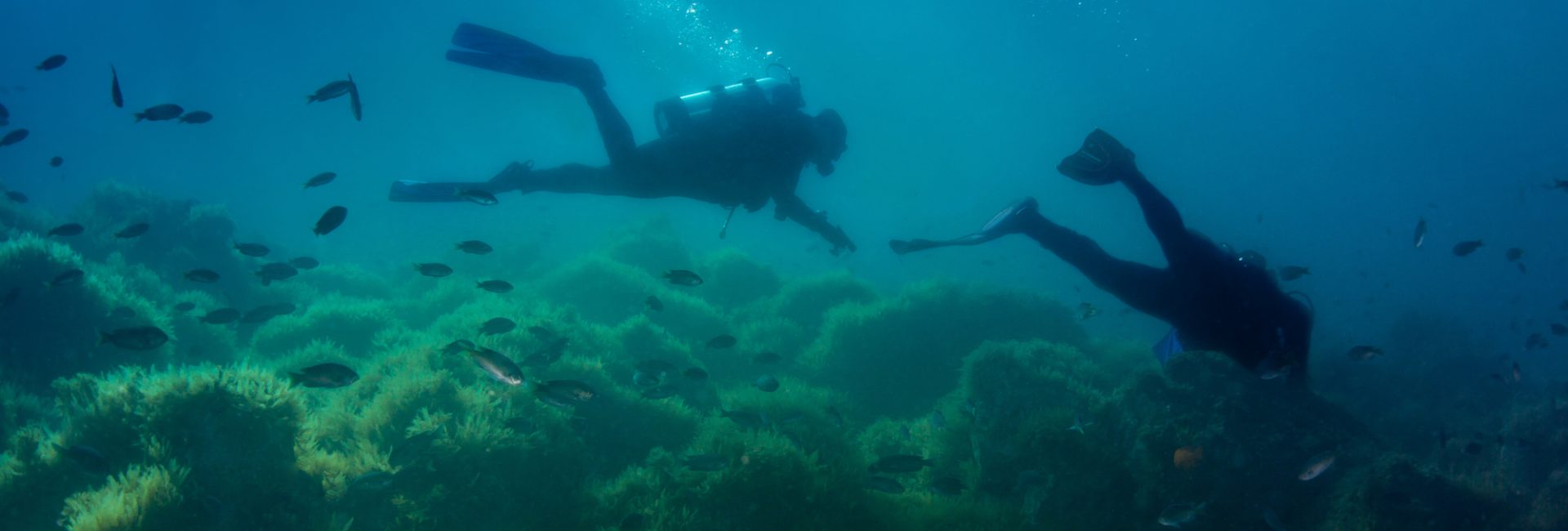 Total Immersion Has the Power to Remind Us of Who We Really Are