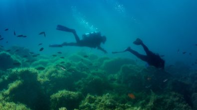 catalina island dive warriors