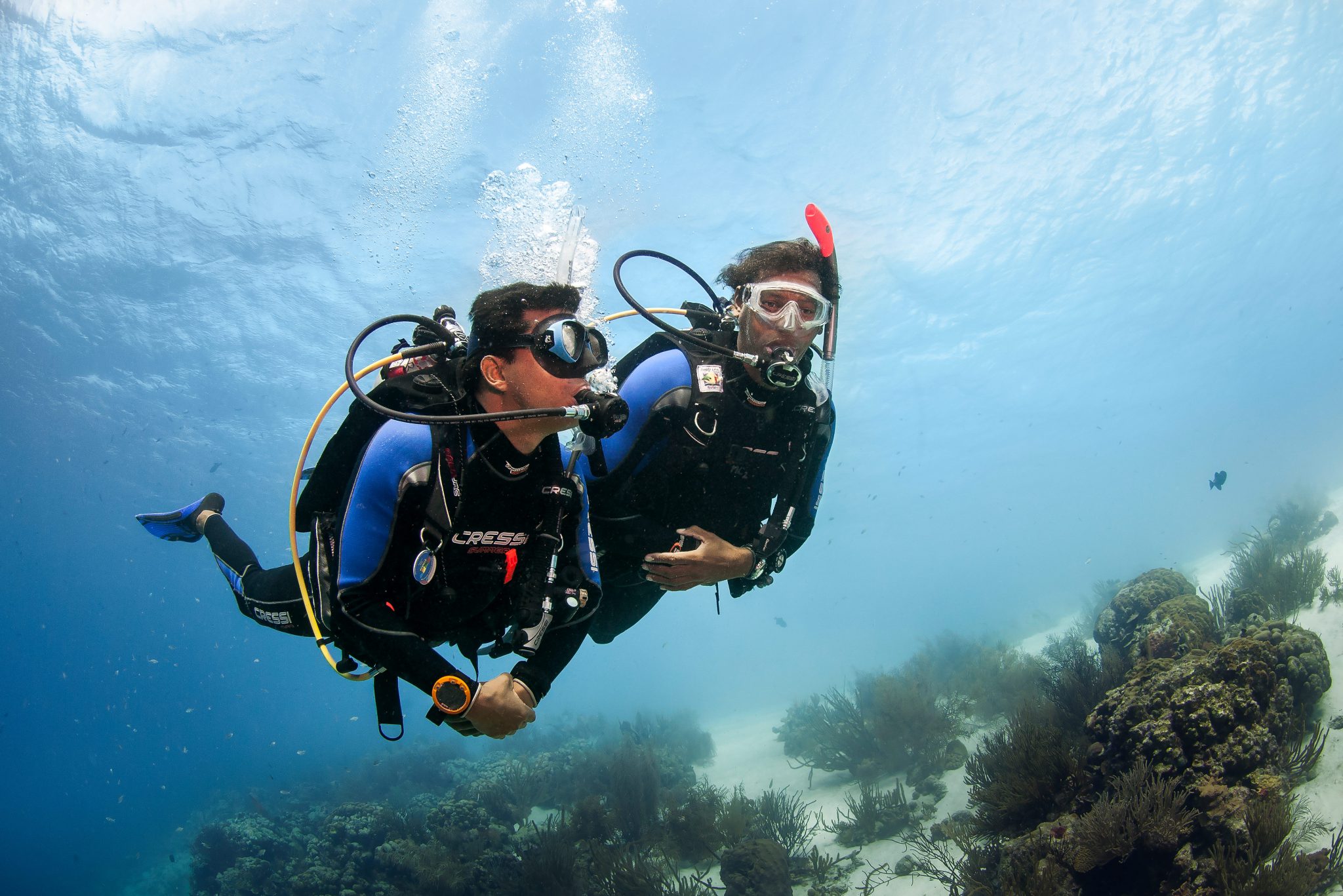Bonaire-Scuba Diving-tropical-underwater