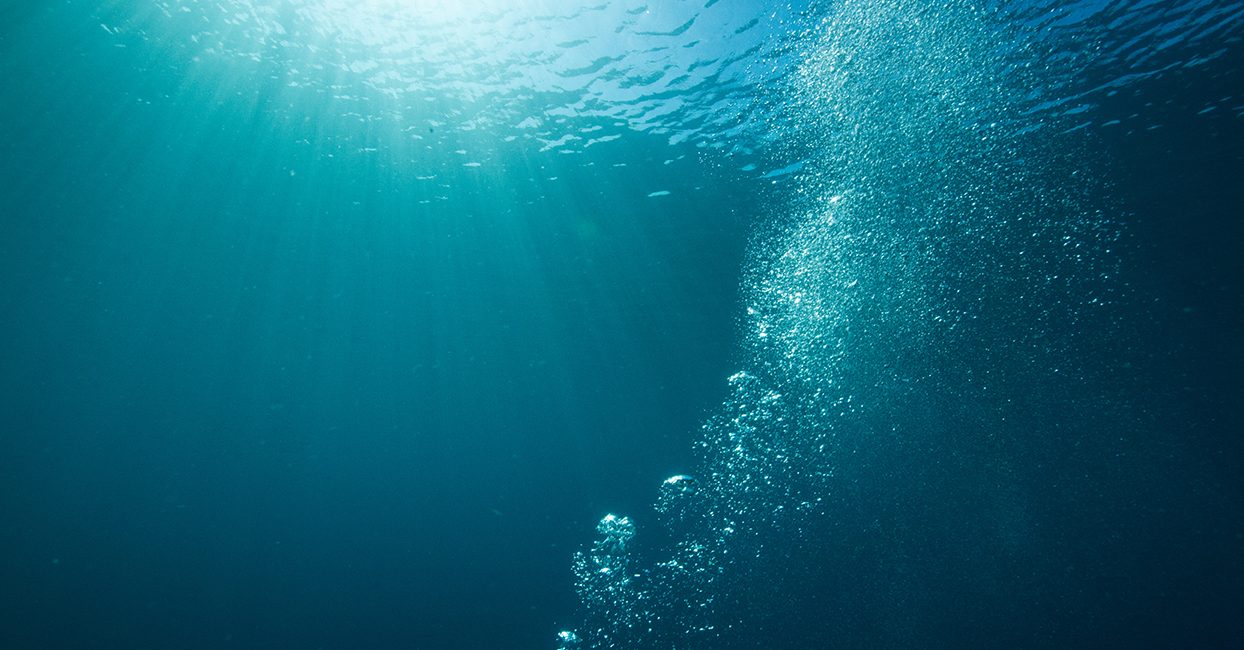 Meditación Submarina: Bucear para la Paz Interior￼