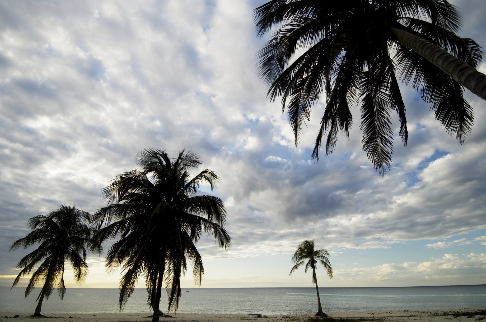 Guanahacabibes Hope Spot Cuba Shutterstock