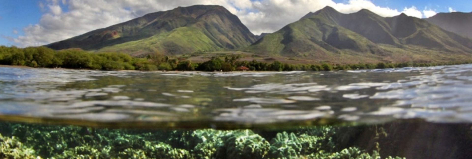 Maui’s Olowalu Reef is First Hawaiian Mission Blue Hope Spot