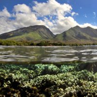 Olowalu Hope Spot Mission Blue - Photo: Pauline Fiene